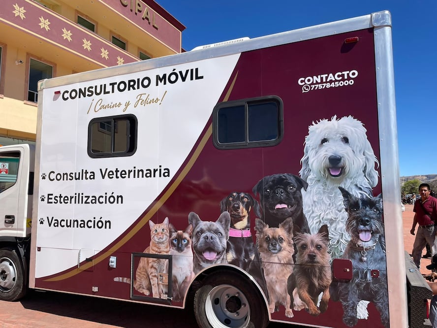 Continúan las campañas para promover el bienestar animal en Tulancingo I foto: Especial