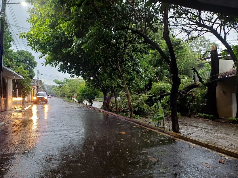 Derrumbes bloquean la carretera federal Pachuca–Tampico en la Sierra y Huasteca hidalguense | Foto: especial