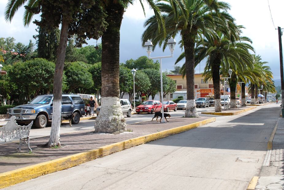 Acatlán sin dirección de Turismo, pese a su potencial como destino | Foto: Wikimedia Commons
