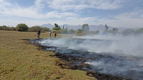 Incendio de tules moviliza a bomberos en Ixmiquilpan