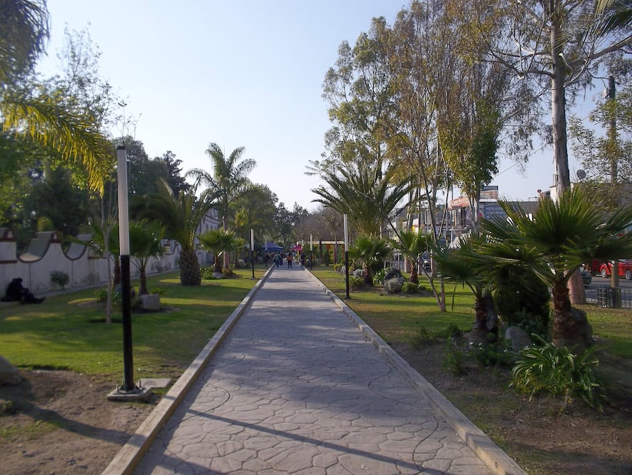 Por el proyecto del PMU en Tizayuca, la Sedatu acumuló 5, millones 343 mil pesos que no comprobó | Foto: Wikimedia Commons