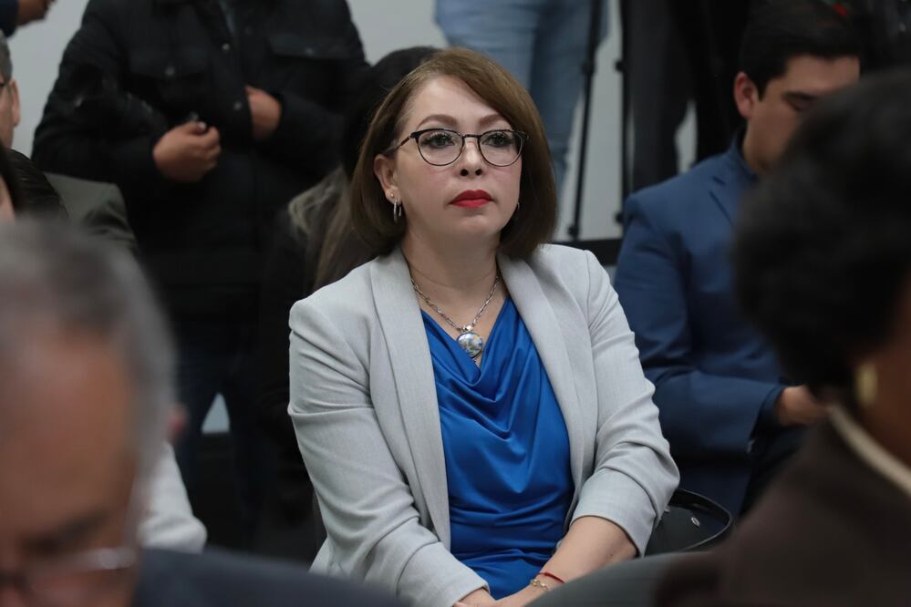 Claudia Lilia Luna, presidenta de Acción Nacional en Hidalgo. Foto: Luis Soriano