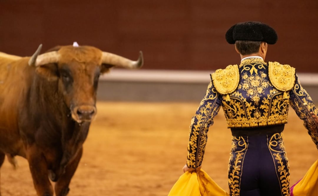 Iniciativa para prohibir corridas de toros en Hidalgo continúa en análisis en comisiones | Foto: Pexels