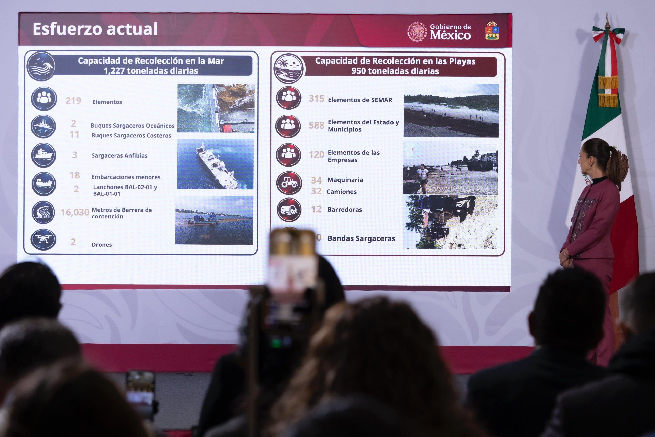Gobierno federal destinará 2 mil mdp para reforzar el combate al sargazo en Quintana Roo