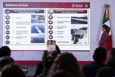 Gobierno federal destinará 2 mil mdp para reforzar el combate al sargazo en Quintana Roo