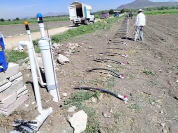 Participan 15 empresas en más de 70 parcelas demostrativas