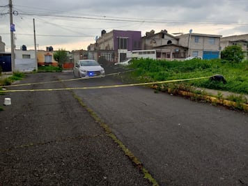 Aparecen al menos 10 perros muertos por presunto envenenamiento en El Huixmí, Pachuca