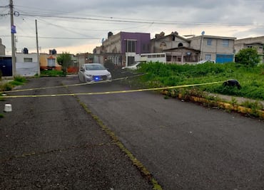 Aparecen al menos 10 perros muertos por presunto envenenamiento en El Huixmí, Pachuca