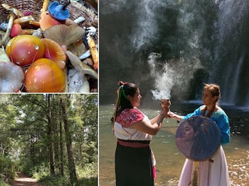 Acaxochitlán: el nuevo Pueblo Mágico de Hidalgo que te conecta con la naturaleza y la tradición