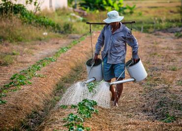 Por falta de lluvias, producción agrícola será mínima en Huasteca