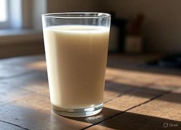 ¿Qué significa que la leche sea pasteurizada y por qué es importante?