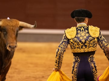 Acusan freno a iniciativa contra la tauromaquia por intereses económicos