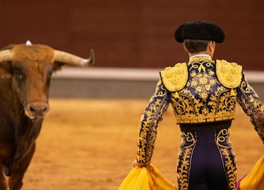 Acusan freno a iniciativa contra la tauromaquia por intereses económicos