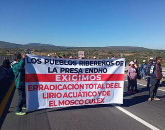 Bloquean el Arco Norte, exigen la erradicación del lirio acuático y mosco culex 