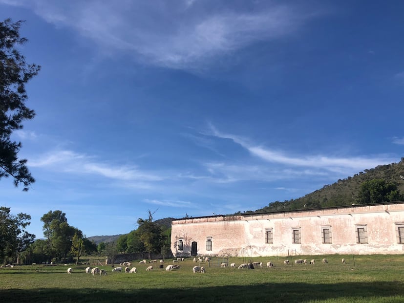 Ex Hacienda El Zoquital será sede de la tercera edición del Festival del Cordero y el Mezcal | Facebook: Ex. Hacienda El Zoquital