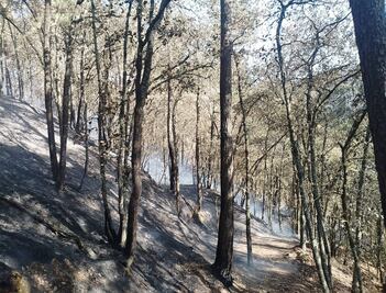 Controlado en un 70% el incendio forestal en Parque Nacional El Chico