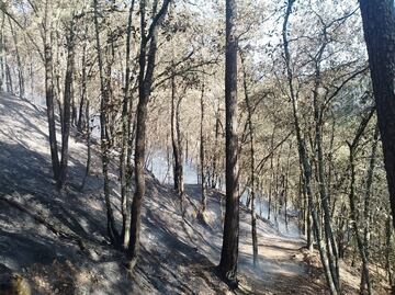 Controlado en un 70% el incendio forestal en Parque Nacional El Chico