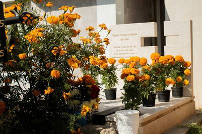 Panteones de Mineral de la Reforma se llenan de familias en el Día de Muertos