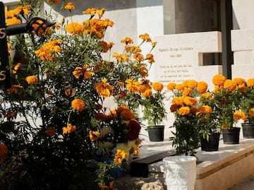 Panteones de Mineral de la Reforma se llenan de familias en el Día de Muertos