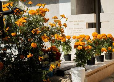 Panteones de Mineral de la Reforma se llenan de familias en el Día de Muertos