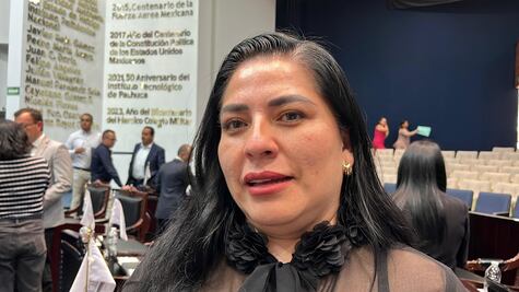 Diputada Alhely Medina descarta renunciar ante señalamientos