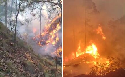 Continúan labores para sofocar incendio forestal en Tepalzingo