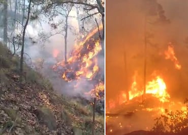 Continúan labores para sofocar incendio forestal en Tepalzingo