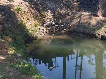 Se acerca el día cero; Huejutla le queda agua para una semana: Capashh