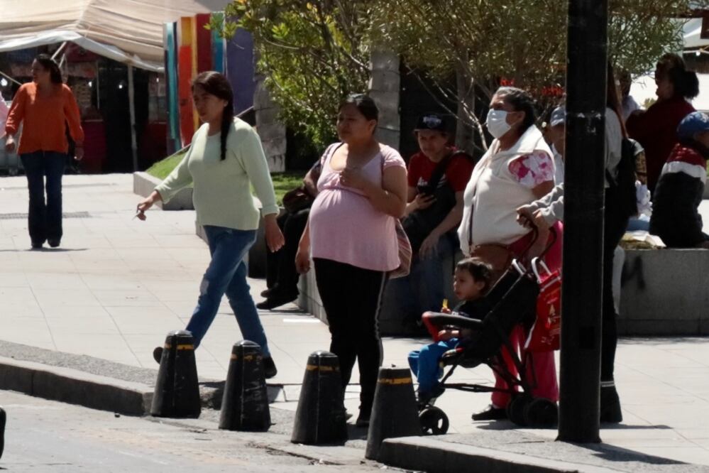 En Hidalgo se registraron mil 780 nacimientos en niñas entre 10 y 17 años de edad, de acuerdo con el último informe de la Estadística de Nacimientos Registrados (ENR)  I Foto: Luis Soriano