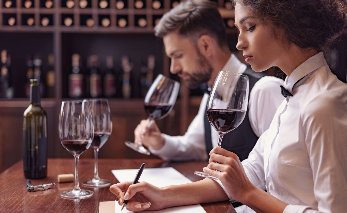 Descorcha el saber: ¡Conviértete en sommelier!