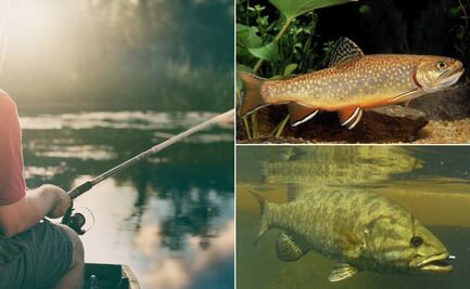 Anuncian Cuarto Campeonato Nacional de Trucha y Lobina en Huasca de Ocampo
