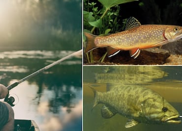 Anuncian Cuarto Campeonato Nacional de Trucha y Lobina en Huasca de Ocampo