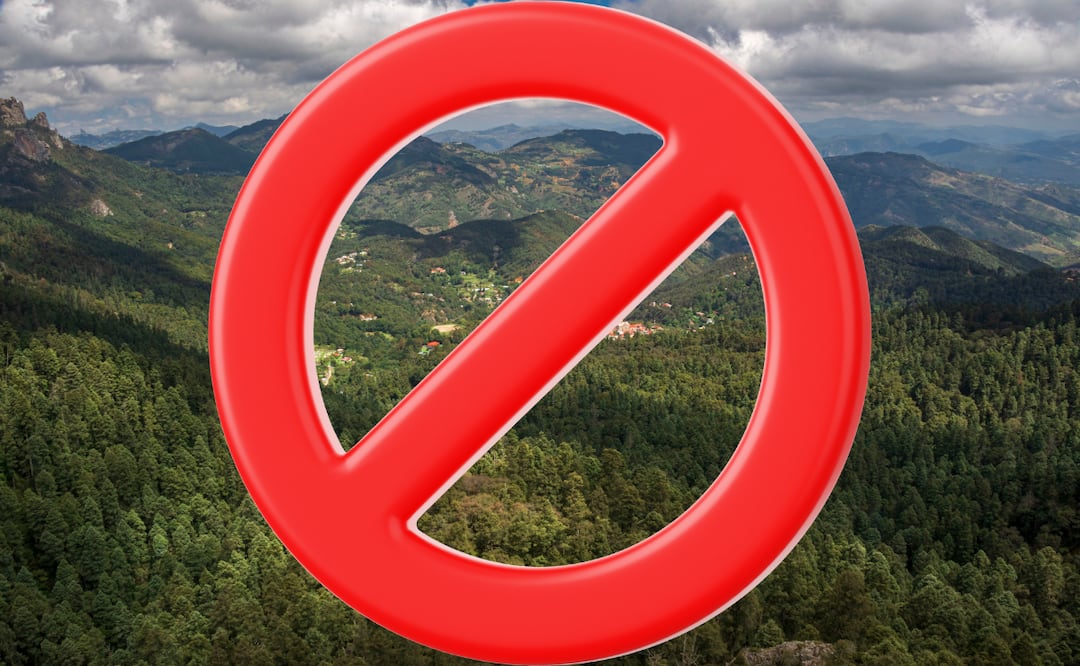 Atención visitantes | Foto: Wikimedia Commons