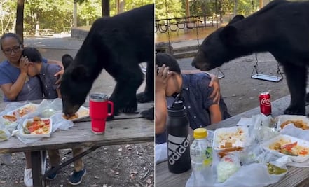 Oso sorprende en picnic familiar, se come tacos y enchiladas en NL