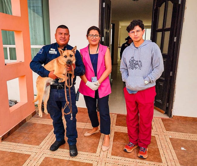 Rescatan a perro abandonado dentro de una vivienda en Pachuca