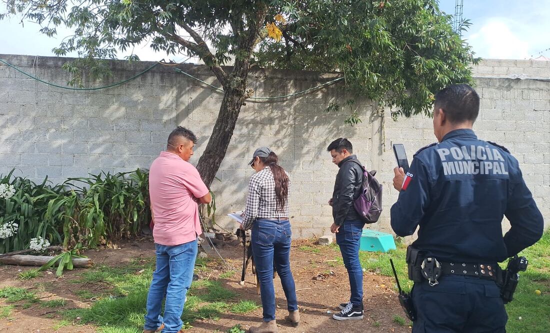 Autoridades rescatan a un perro en Santa María Asunción | Foto: especial