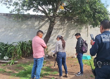 Rescatan a perro víctima de presunto maltrato en Santa María Asunción