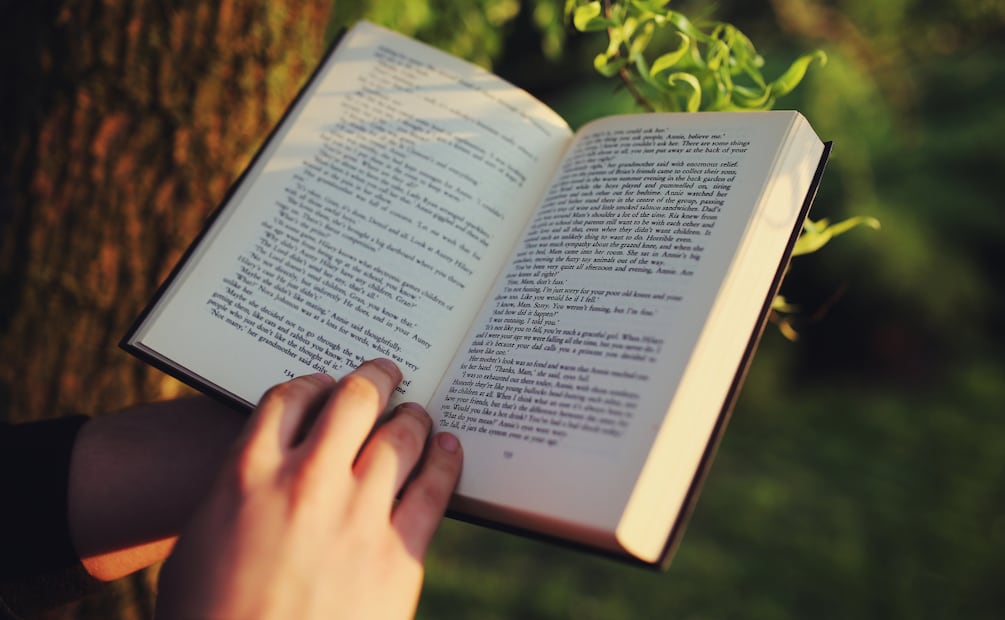 Hidalgo impulsa diplomado gratuito para formar mediadores de lectura comunitaria | Foto: Pexels