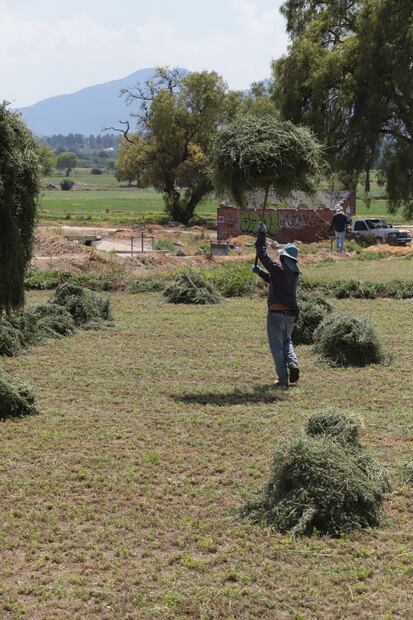 Hidalgo registró 498 mil 45 hectáreas de superficie agrícola durante 2025, de las cuales, más de 52 mil hectáreas se encontraban en descanso, de acuerdo con los resultados de la Encuesta Nacional Agropecuaria (ENA) del Instituto Nacional de Estadística y Geografía (Inegi) I Foto: Luis Soriano