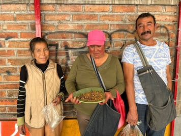 Doña Martha: cinco horas en el cerro buscando hormigas con miel