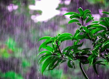 SEPH activa protocolo por lluvias en 41 municipios