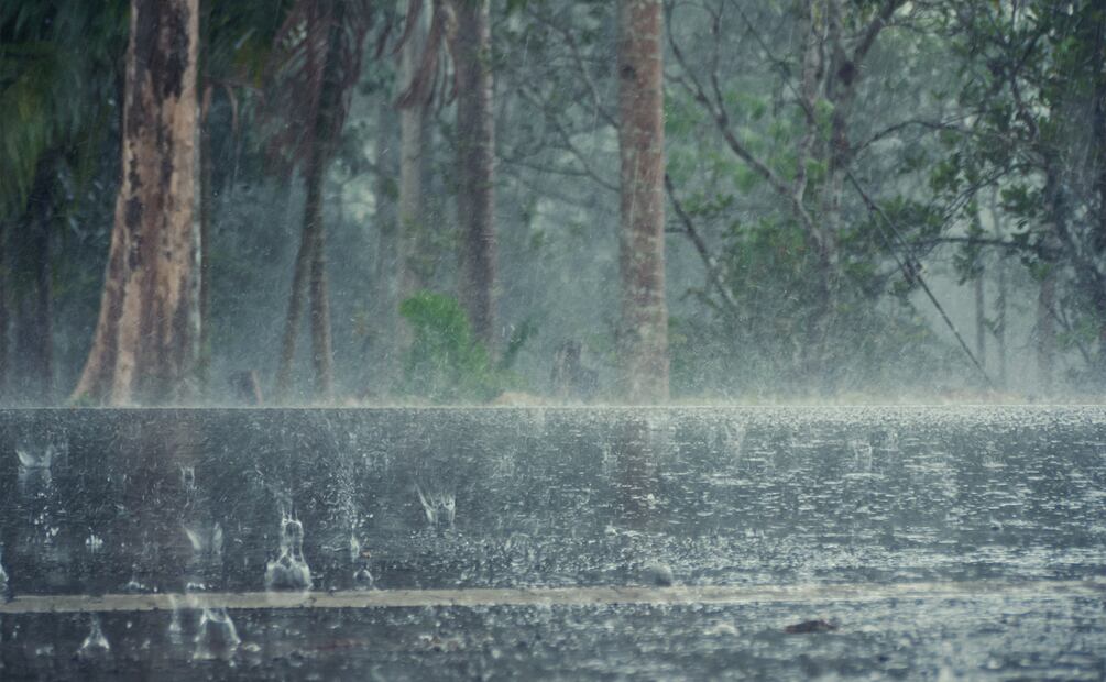 Frente frío 6 provocará fuertes lluvias en 4 estados | Imagen ilustrativa