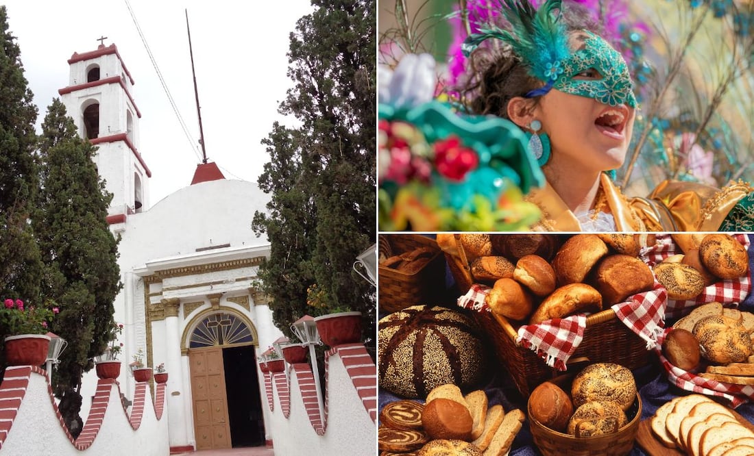 Fotos: Wikimedia Commons | Pexels | Pixabay