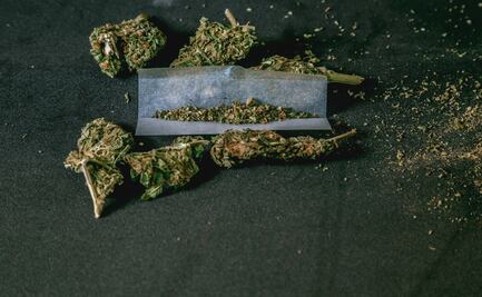 Estudio sobre consumo de drogas reveló que la mariguana es la más consumida en Hidalgo