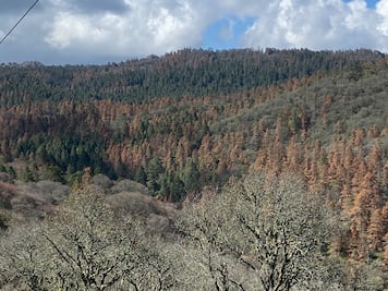 PC de Alfajayucan emite recomendaciones ante incendios y estiaje