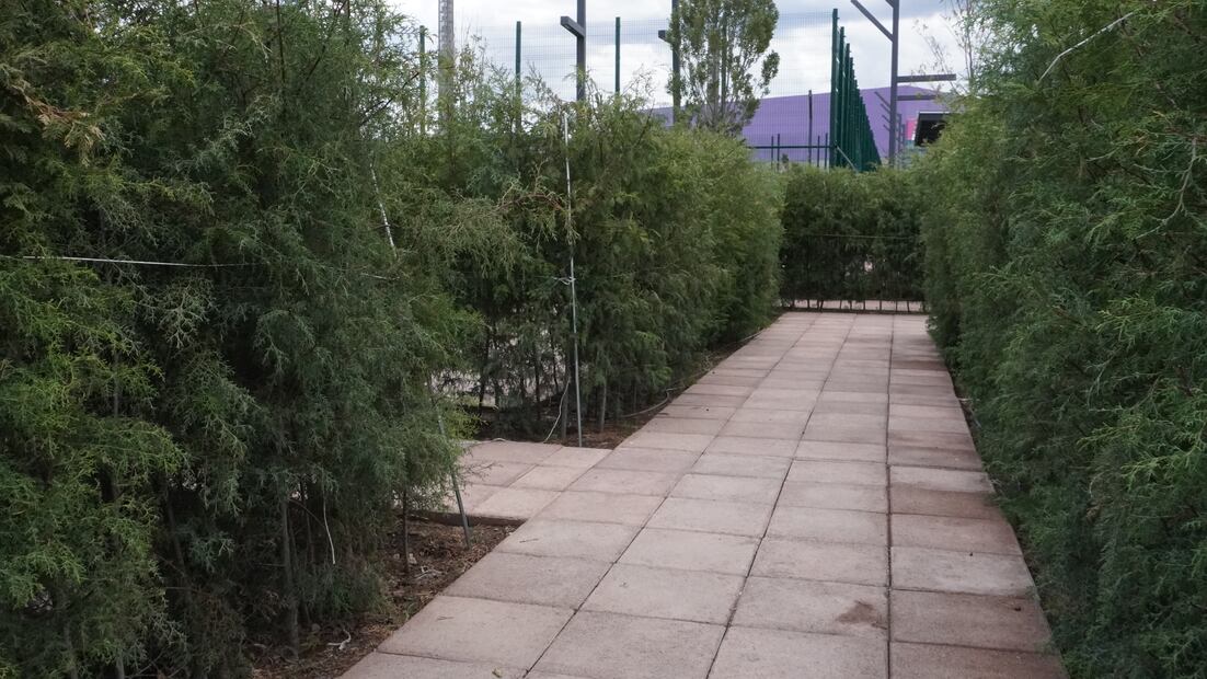 Renace el Parque Cultural Hidalguense, un espacio renovado para la convivencia y la cultura en Pachuca | Foto: Cinthya Carbajal