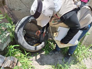 En Hidalgo, temporada alta de dengue se extenderá hasta octubre; suman 799 confirmados