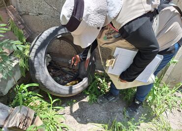 En Hidalgo, temporada alta de dengue se extenderá hasta octubre; suman 799 confirmados