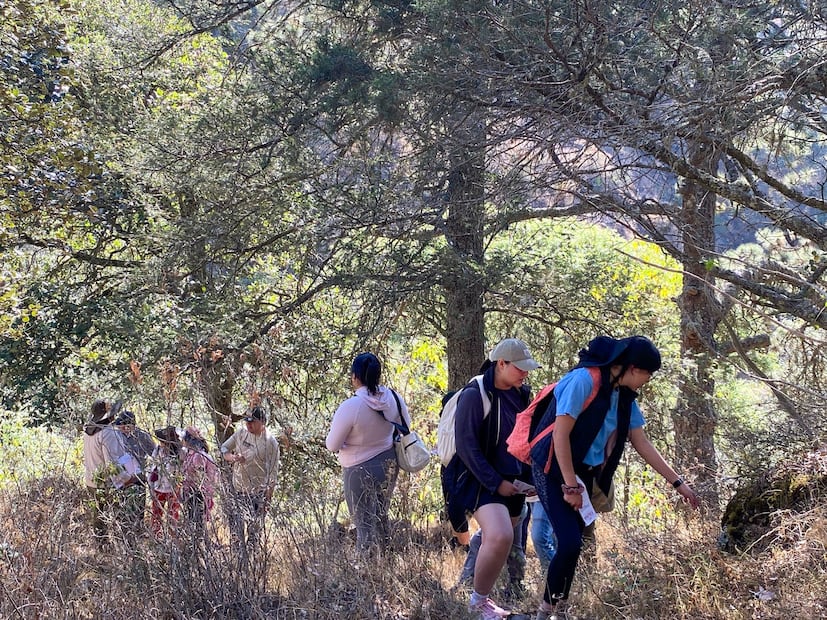 Exploran la biodiversidad de Pachuca en recorrido de senderismo | Facebook: H. Ayuntamiento de Pachuca