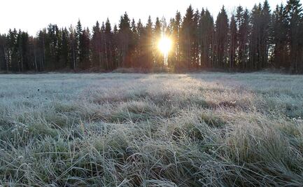 A qué estados afectará el Frente Frío 9